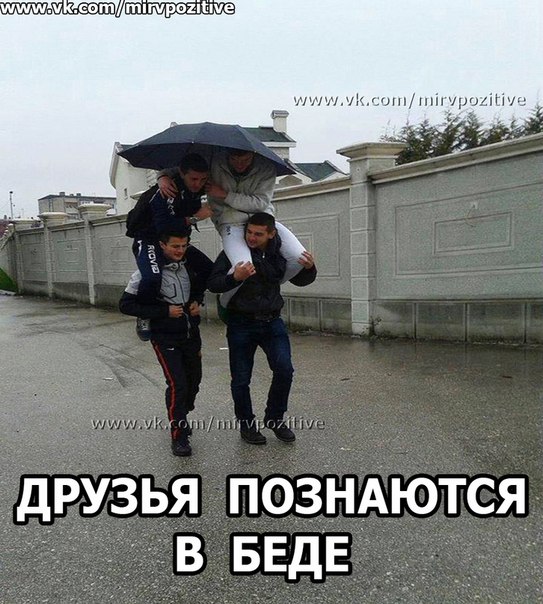 друзья