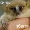 йа ожинь збагоен))))) йа ожинь збагоен)))))