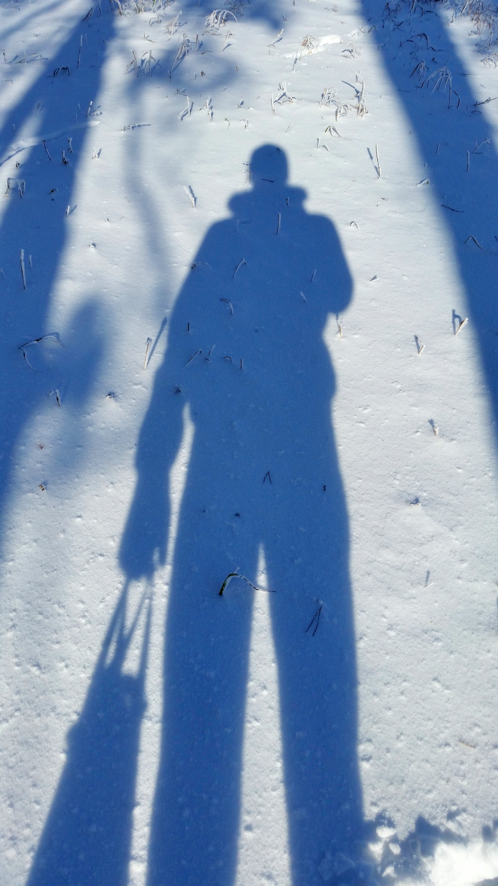 Сирёгина тень снежнопакетная)))))