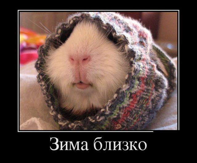 Зима близко