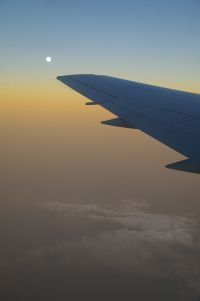 Луна на крыле Луна на крыле