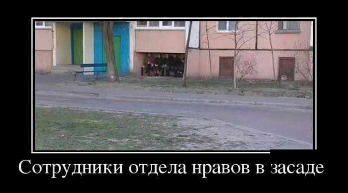 В засаде