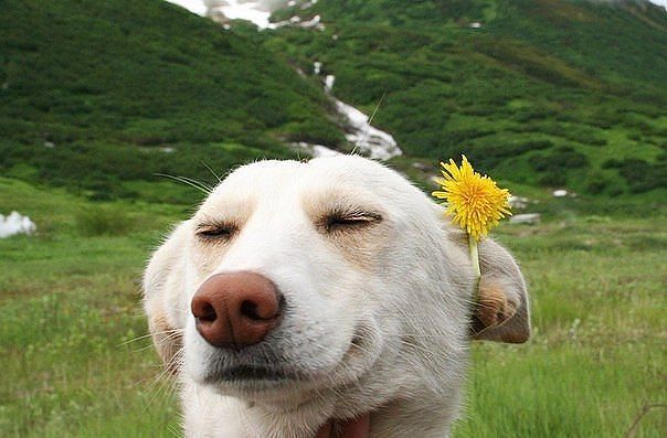 Скоро лето))