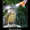 Выдержка