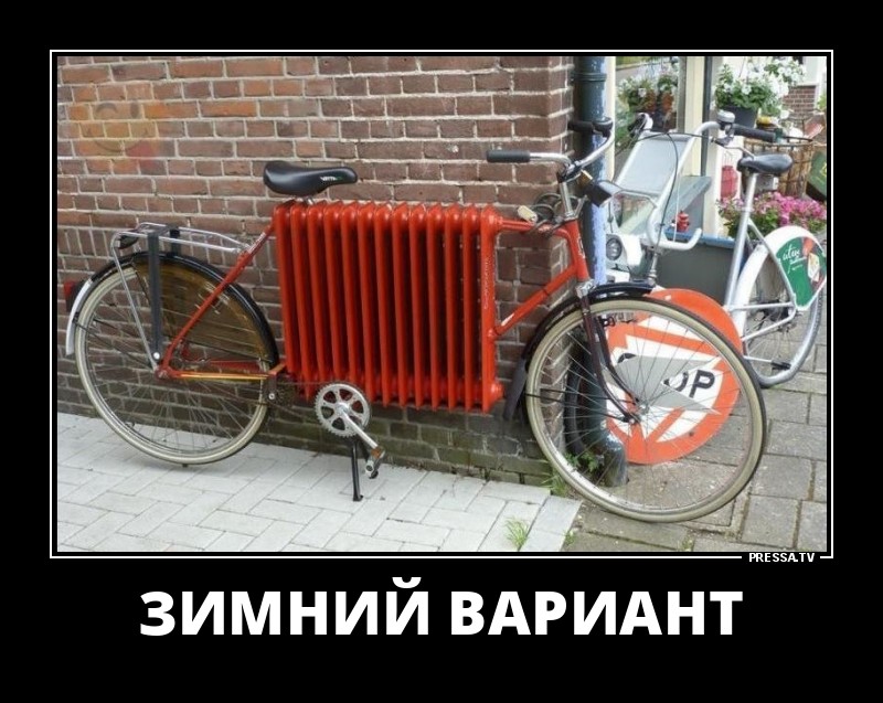 Зимний вариант