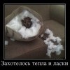 Захотелось тепла