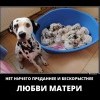 Любовь матери