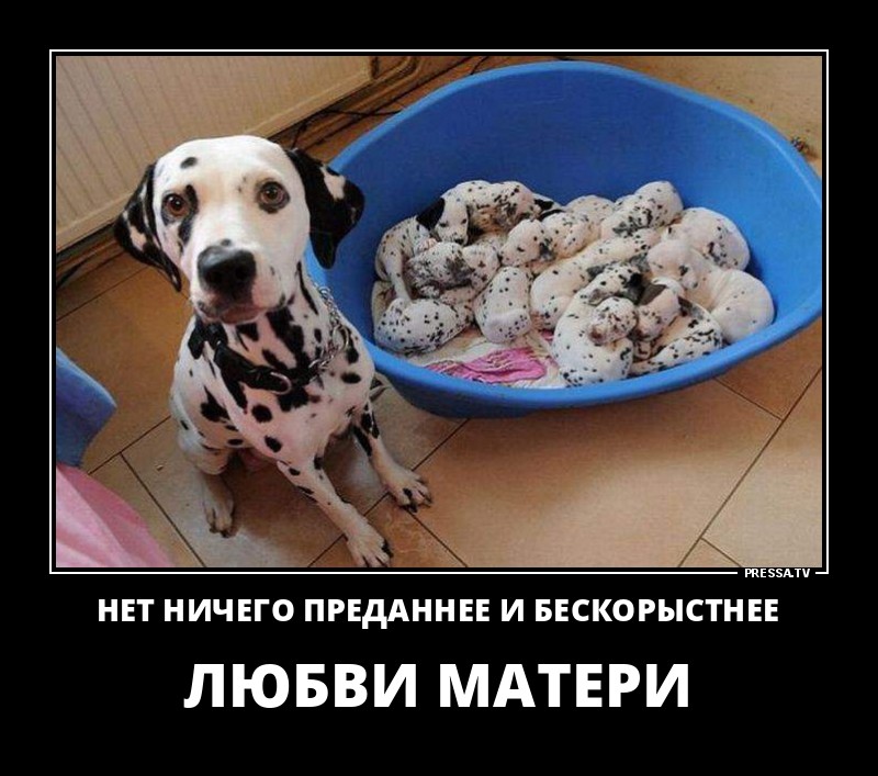Любовь матери