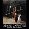 Звуки скрипки