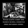 Палки в колеса