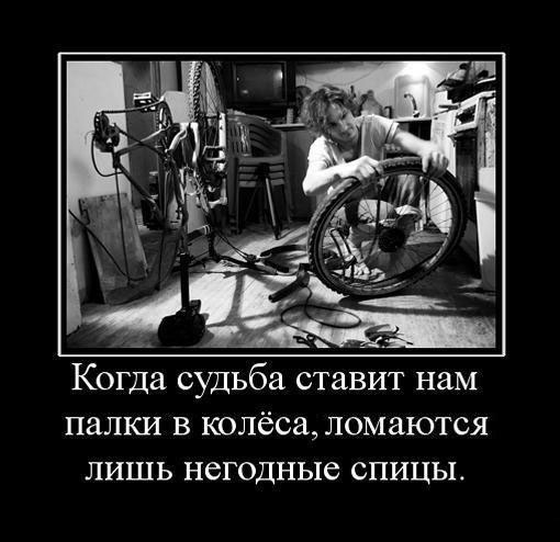 Палки в колеса