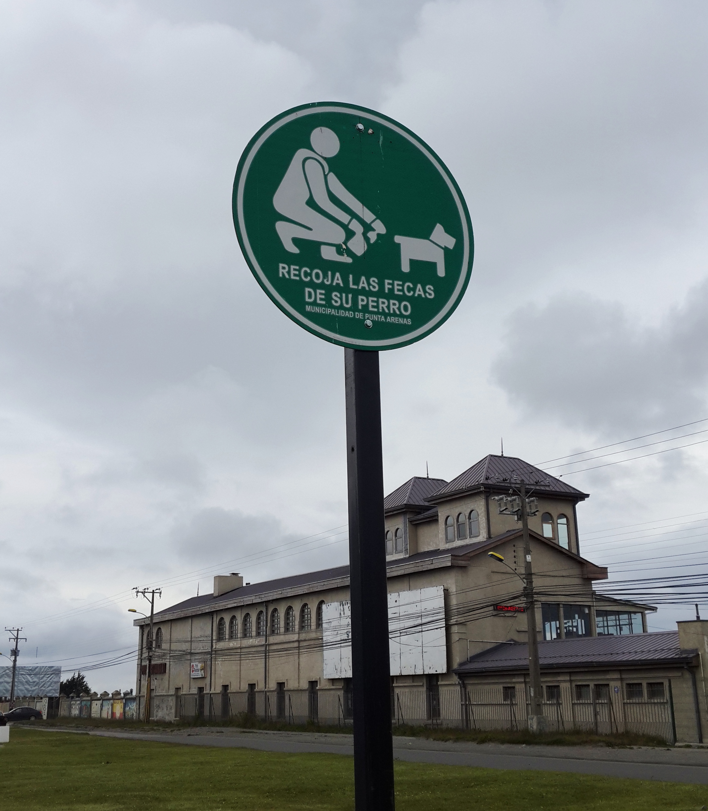 убери какашки за своей собашкой!