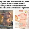 Супер свинка