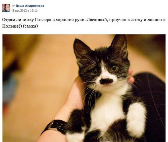 51125a8e6ec47a5f3744deffce5 prev