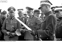 парад польских и германских фашистов