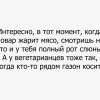 Косить газон Косить газон
