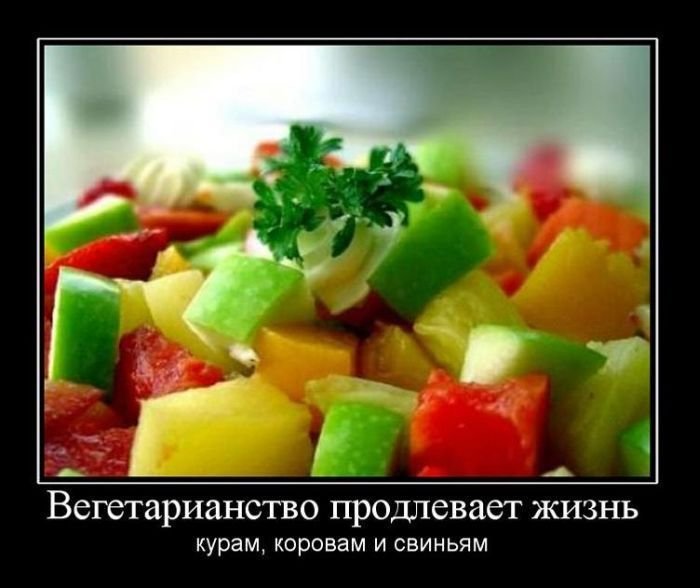 Вегетарианство