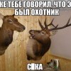 2 оленя