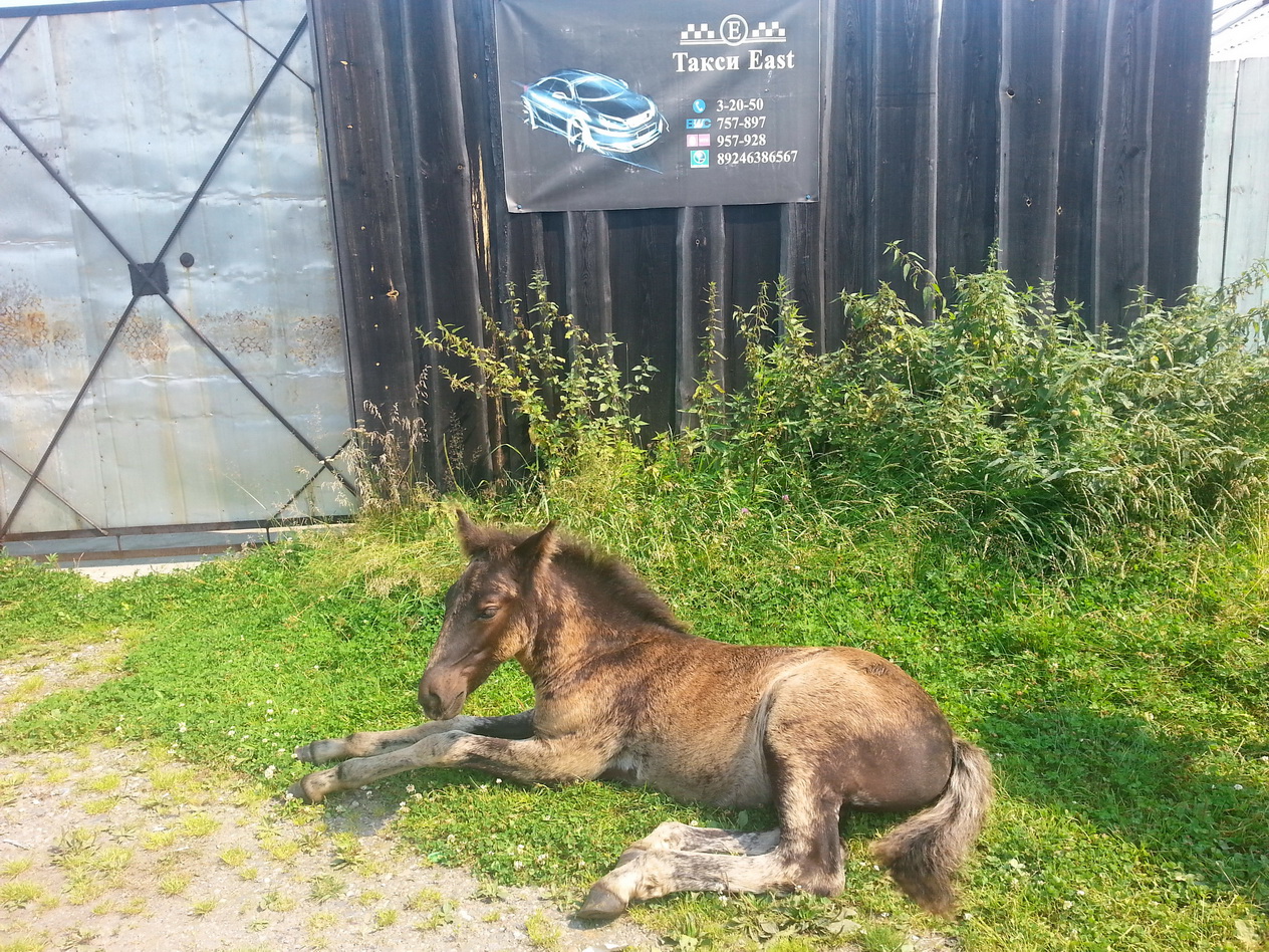 утуликское такси)))))