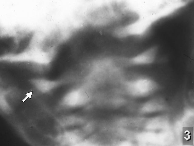 N-3 (208)готово