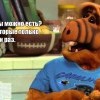 Грибы