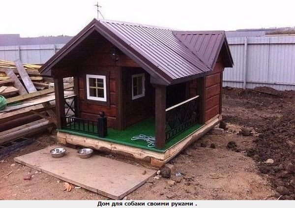 Дом для собаки