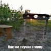 Скучно живу Скучно живу