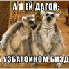 Узбагойся)))))) Узбагойся))))))
