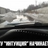 Шоу "Интуиция" Шоу "Интуиция"