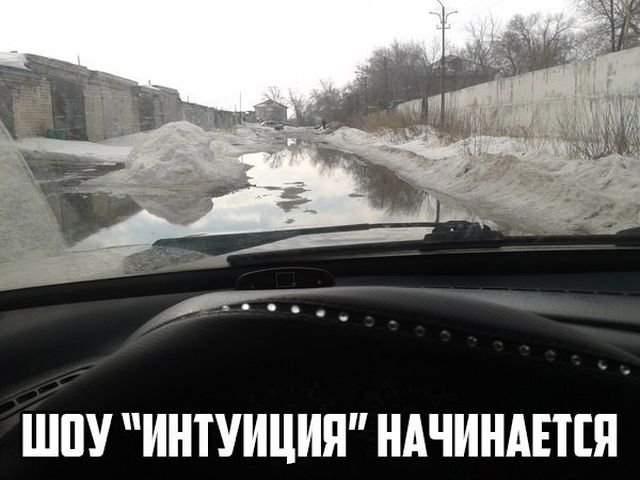 Шоу "Интуиция"