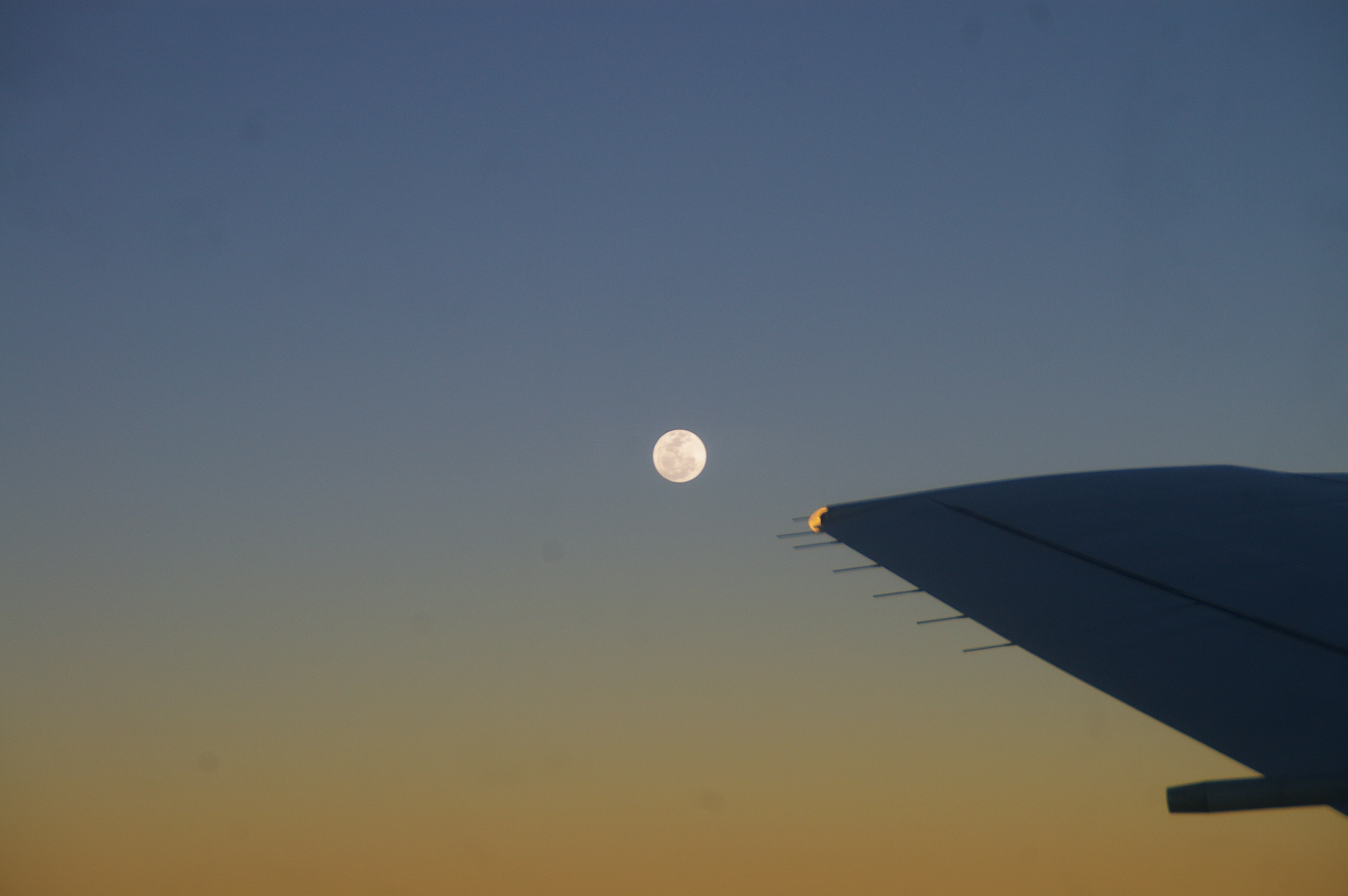 Луна на крыле 