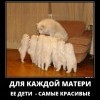 Самые красивые