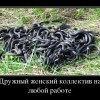 Дружный кoллектив
