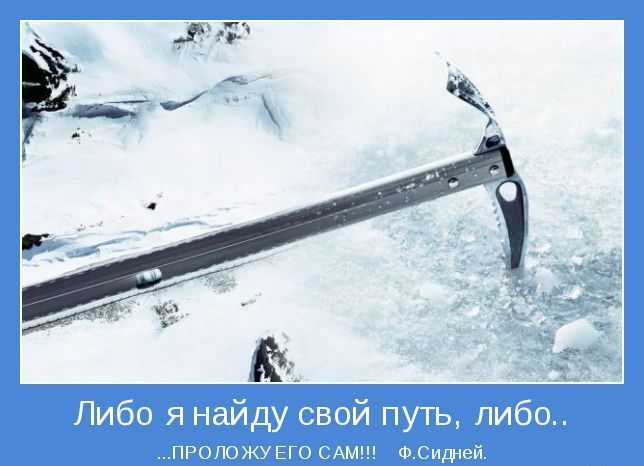 Свой путь