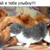 Давай улыбну