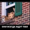 Они всегда ждут тебя Они всегда ждут тебя