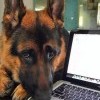 Хватит уже работать Хватит уже работать