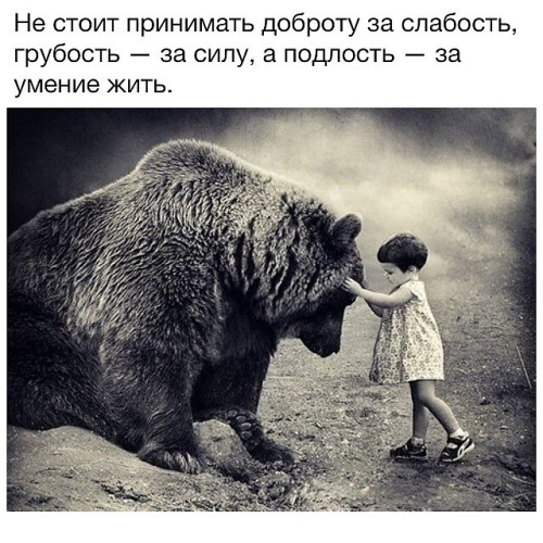 Не стоит принимать...