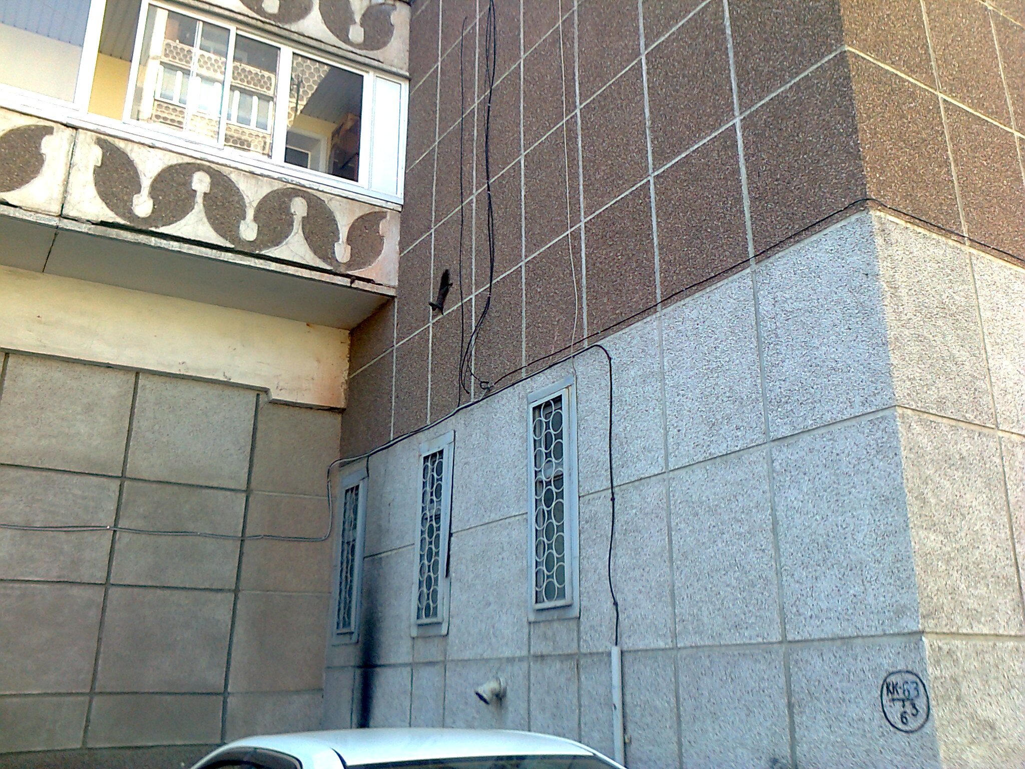 Белка спустилась по стене с крыши магазина в 7а)))