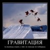 Гравитация