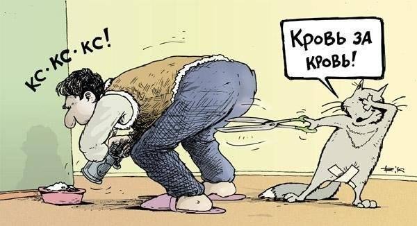Месть котэ