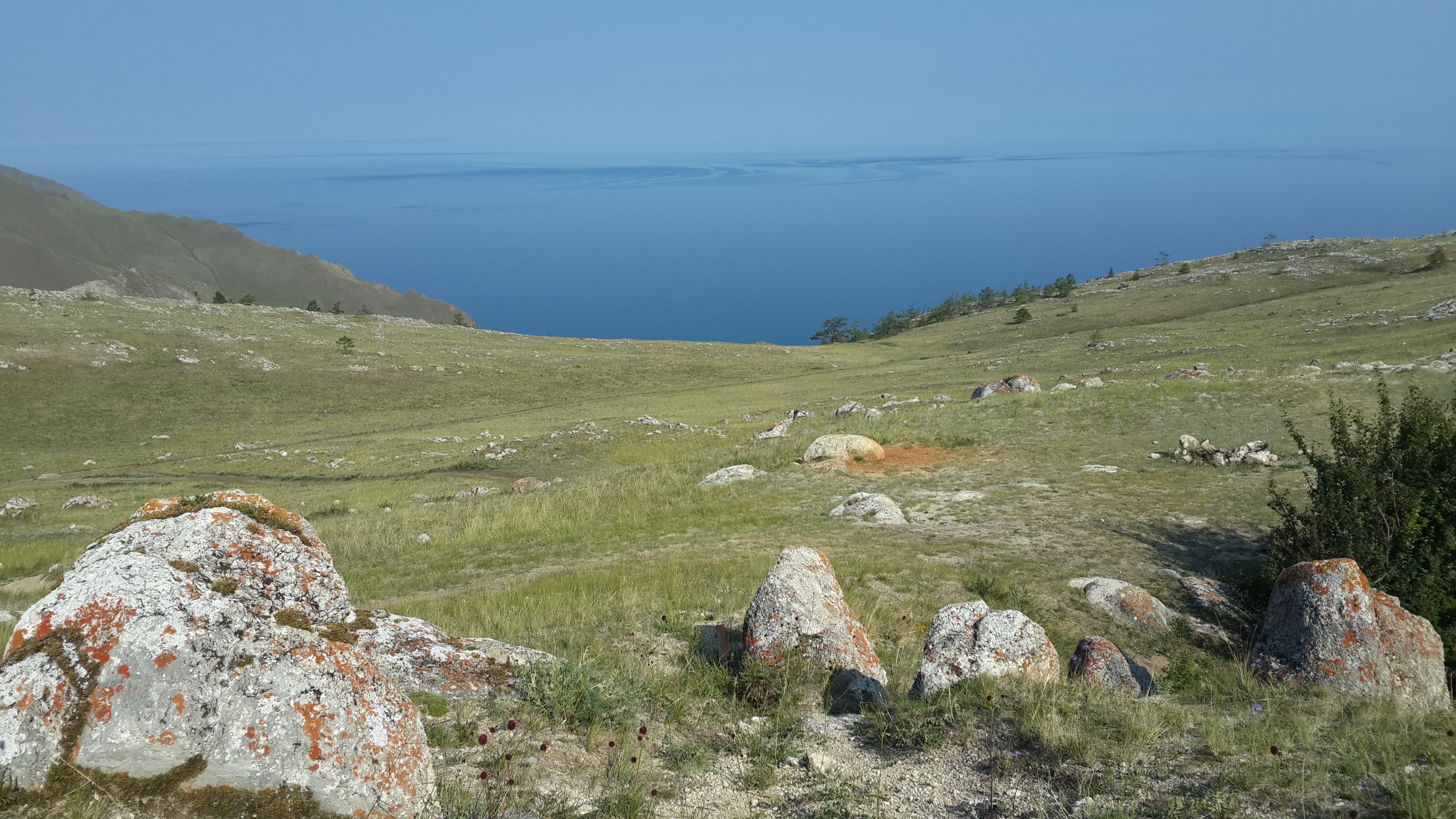 поле для гольфа "Мечта"