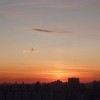 рыба, плывущая по облакам 