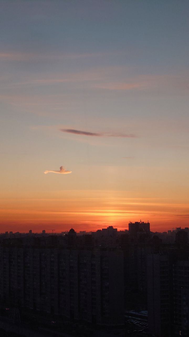 рыба, плывущая по облакам 