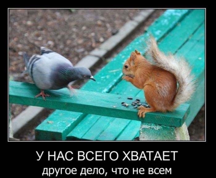 У нас-всего хватает