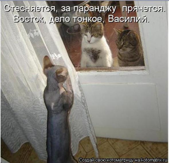 9e006c7b1181db0707992ef320d prev