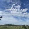 Облака, белогривые лошадки….