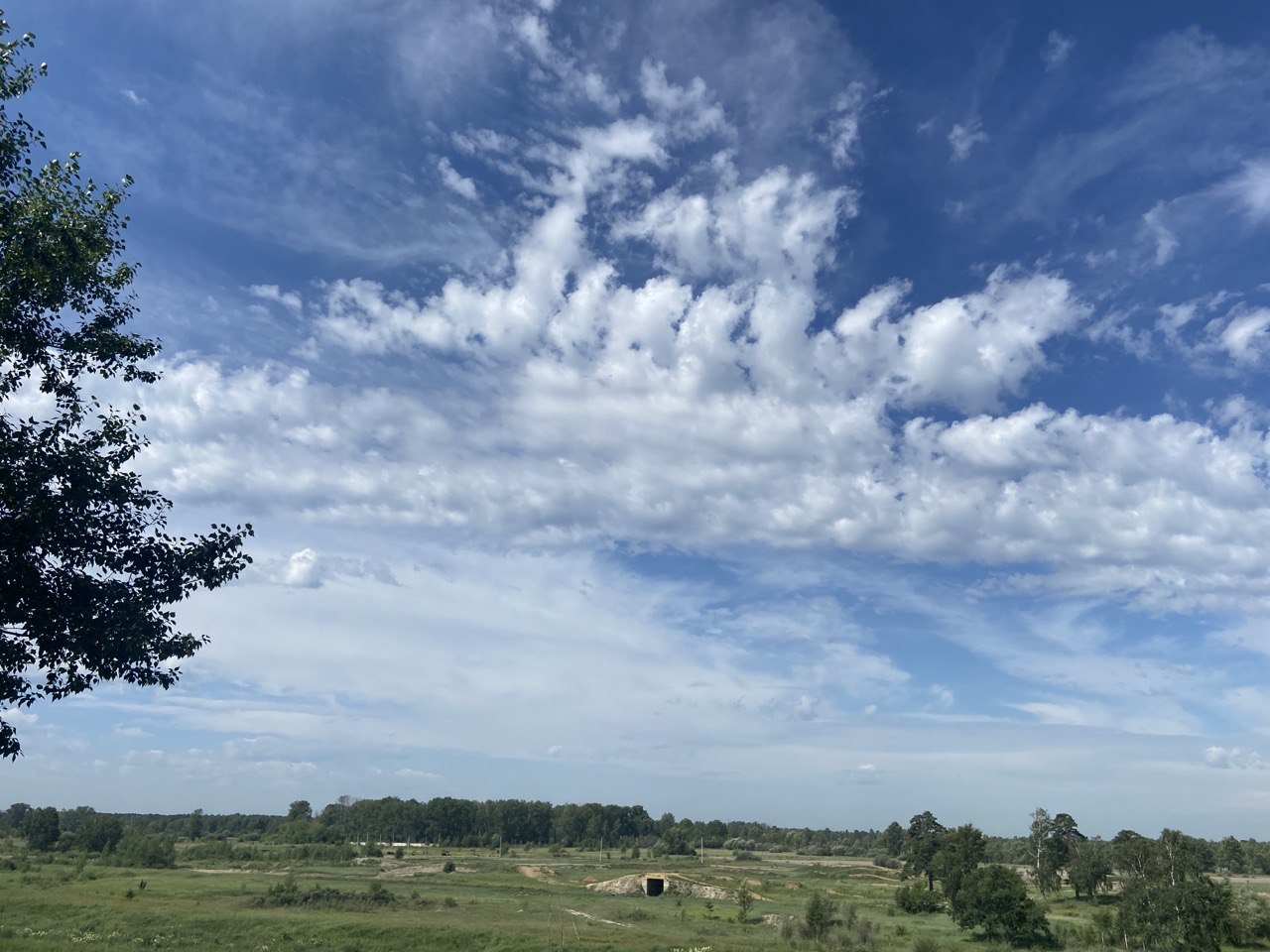 Облака, белогривые лошадки….