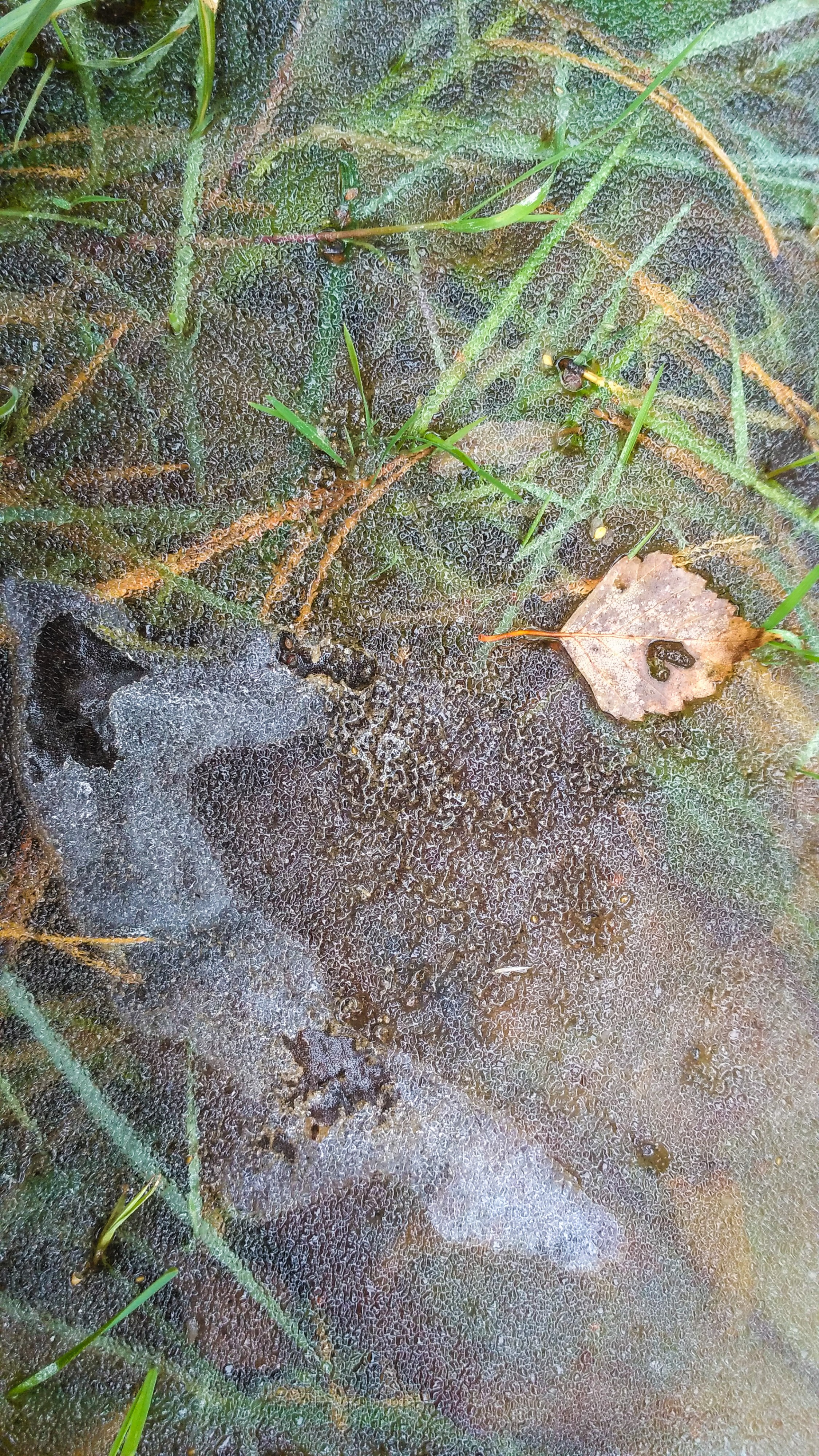 ничего не жаль - ни огня, ни слёз 