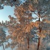 В лучах заката